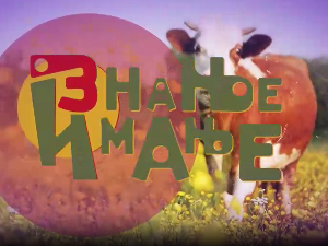 Знање имање-9.11.2025.