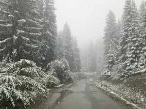 И данас хладно уз кишу, суснежицу и снег - увече престанак падавина 
