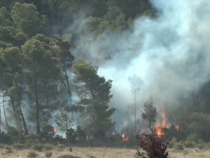 Климатска „конференција истине