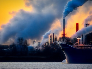 Еколошки магазин