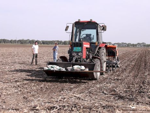 Паноникум: Митови и истине о будућности пољопривреде