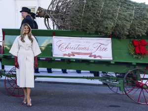 Меланија у Белој кући традиционално дочекала божићну јелку