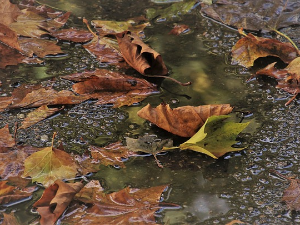 Oблачно и хладније, местимично с кишом – током ноћи јаче захлађење и снег