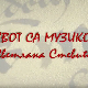 Живот са музиком: Светлана Светић