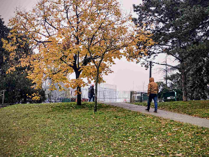 Облаци одлазе ка истоку –  стиже топлији ваздух, температура до 10 степени