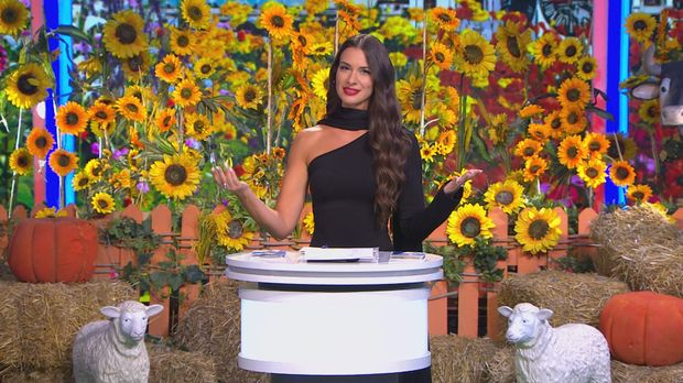 Ја волим Србију