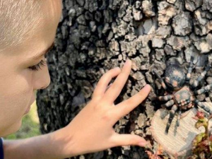 Еко минијатуре: Зоофобија