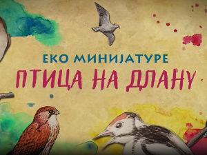 Птица на длану:	Златна вуга