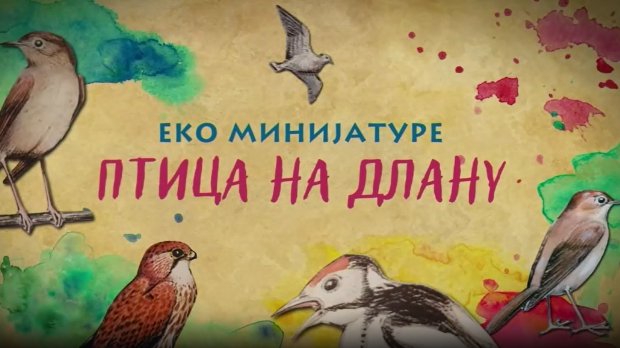 Птица на длану:	Златна вуга