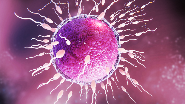 Сперма донора са геном који изазива рак коришћена за зачеће скоро 200 деце