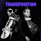 Музика света – Дуо Транспозиција