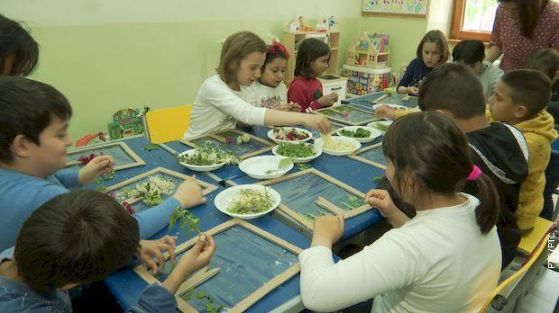 Инклузија: Наш траг (R)