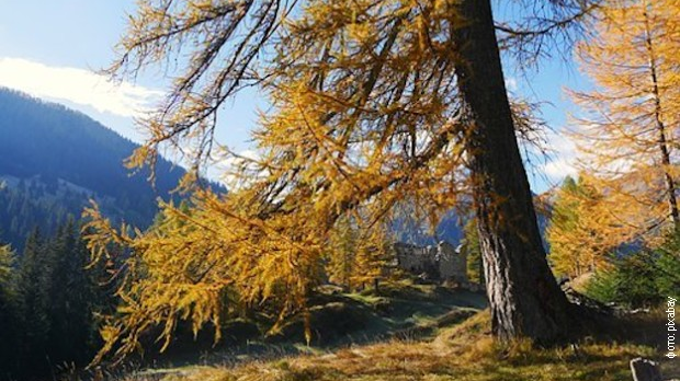 Планине под опсадом