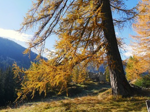 Планине под опсадом