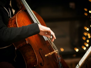 Пол Тортелије, виолончело