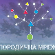 Породична мрежа:	Ко смо на друштвеним мрежама