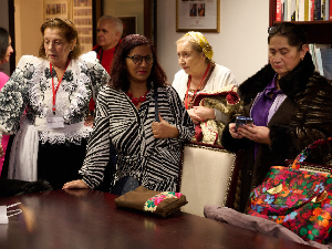 Институционална заштита Рома у пракси