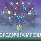 Породична мрежа:	Изласци