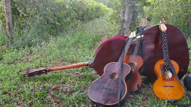 Тамбурица златна жица