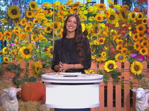 Ја волим Србију