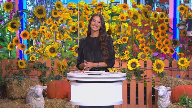 Ја волим Србију