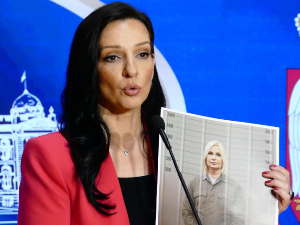 Тепић: Зорана Михајловић оштетила државу за милијарде евра