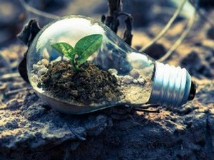 Еколошки магазин