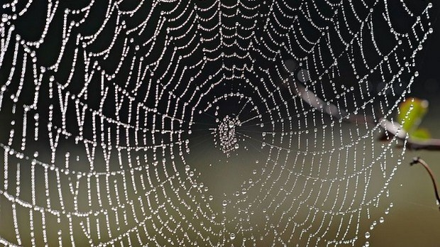 Драмски програм: Тихомир Стефановић: Сто седамдесет први