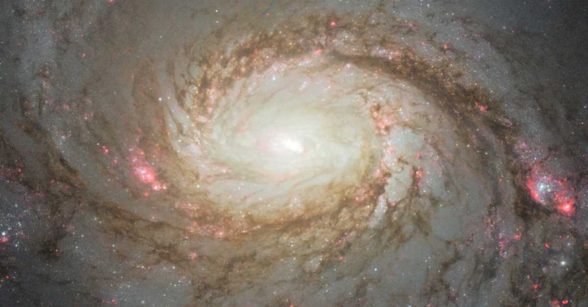 По чему се разликују тамна материја и антиматерија