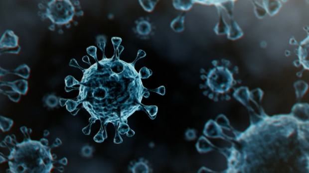 Вирус грипа се модификовао, и овог пута – напао раније, највише младе и радно активне