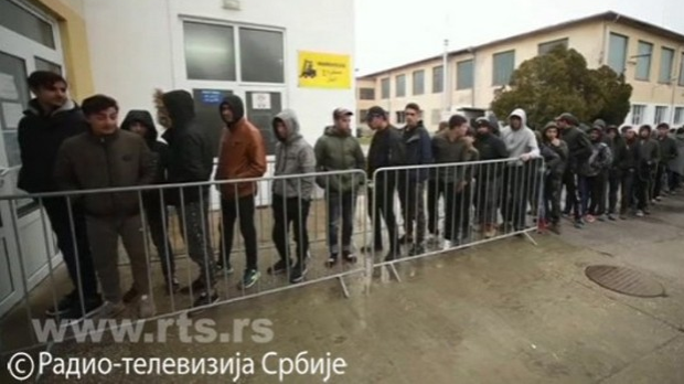 Међународни дан миграната