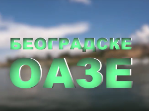 Београдске оазе - Роњење