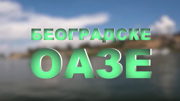 Београдске оазе - Роњење