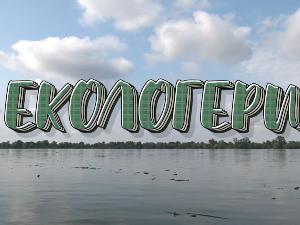 Екологери: Аранђеловац, Јелена Обрадовић