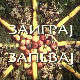 Заиграј запевај