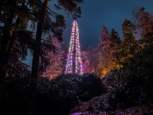Како се украшава највиша јелка на свету