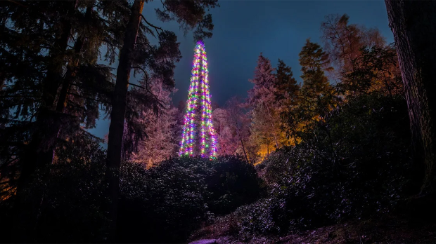 Како се украшава највиша јелка на свету