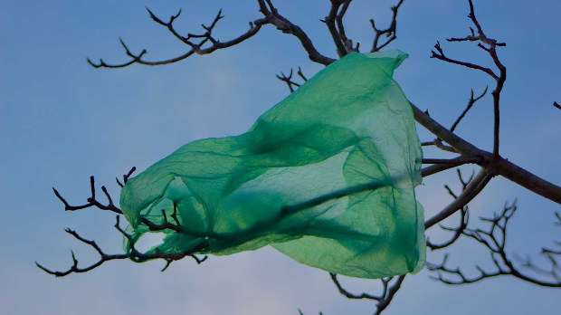 Зашто нам је тешко да се одрекнемо пластичних кеса и када ћемо их потпуно протерати