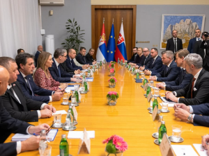 Ђедовић Хандановић: Са Словачком унапређујемо сарадњу у области обновљивих извора енергије