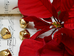 Сребрни звончићи