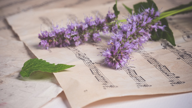 Избор за топ-листу класичне музике Радио Београда 2