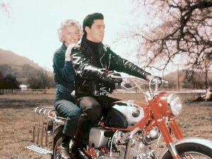 На привременом раду