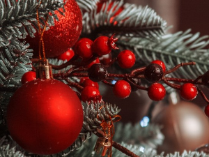 Сениори маратонци и песници у години коју испраћамо