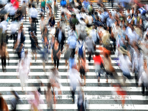 Никита Покровски, Јегор Никишин и Алена Макшанчикова: Шта после града? (2)   