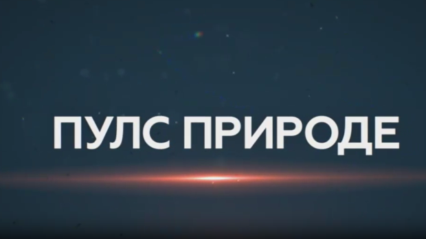 Пулс природе: Врхпоље