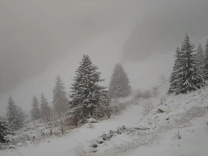 Да ли ћемо Нову годину дочекати уз пахуље, а за Божић се смрзавати на температури од минус 20