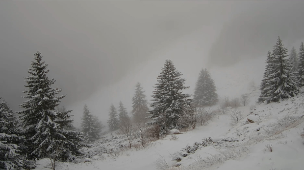 Да ли ћемо Нову годину дочекати уз пахуље, а за Божић се смрзавати на температури од минус 20