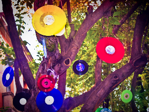 Сингл – „Soley soley“ – Middle of the road