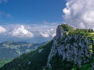 Еколошки магазин