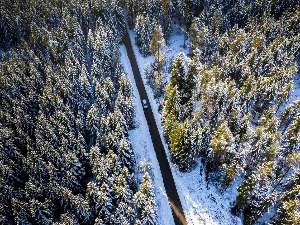 Нови путеви – „The Dirty Dozen Brass Band“